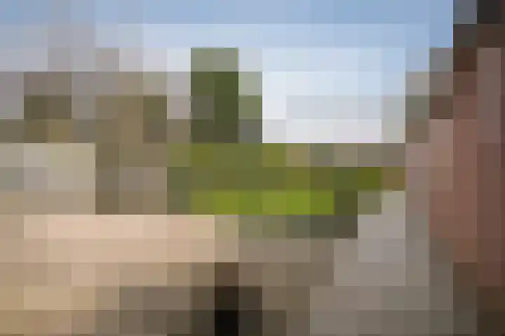 Steenweg 53 Zaltbommel thumbnail 34