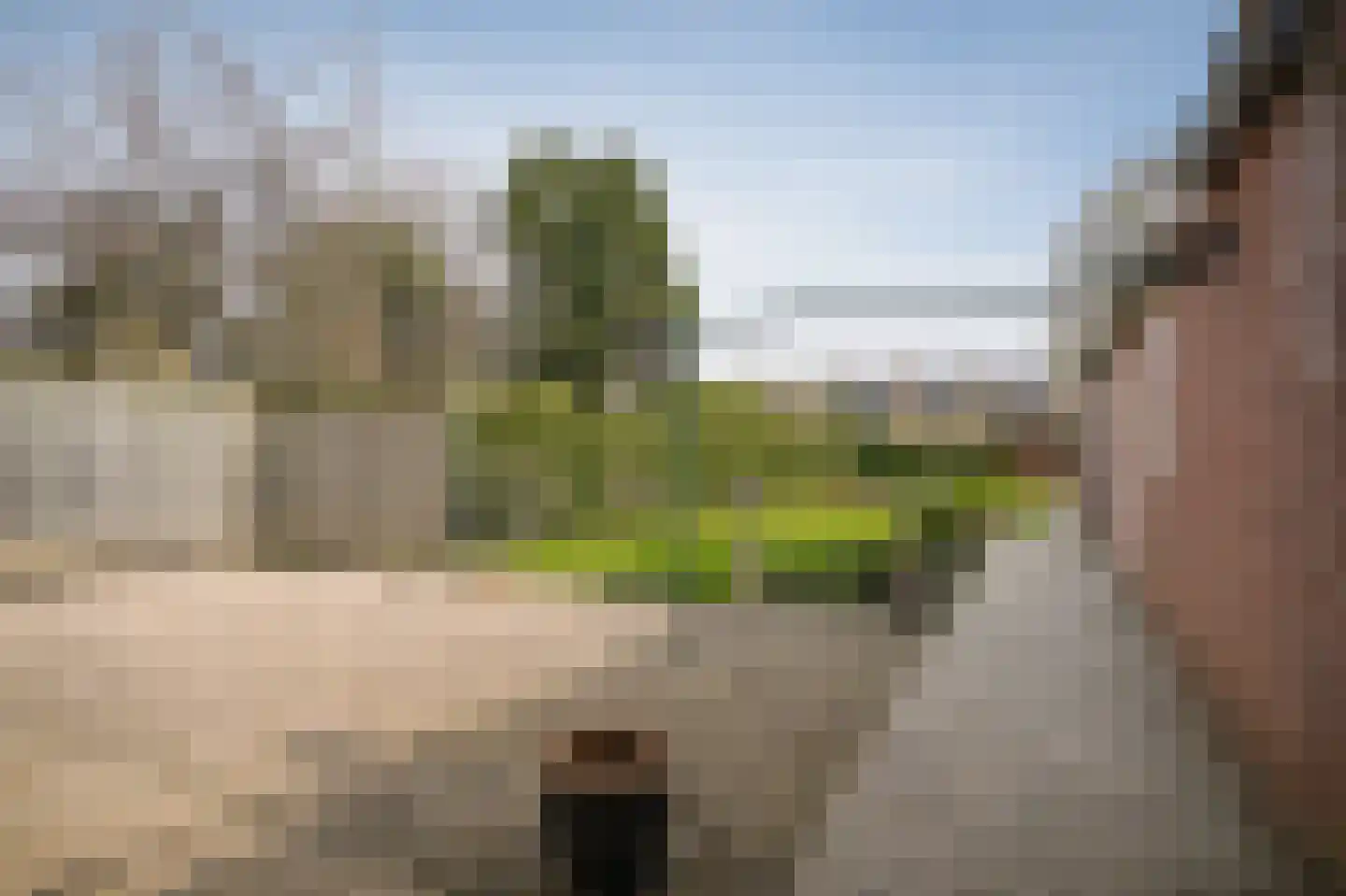 Steenweg 53 Zaltbommel thumbnail 34