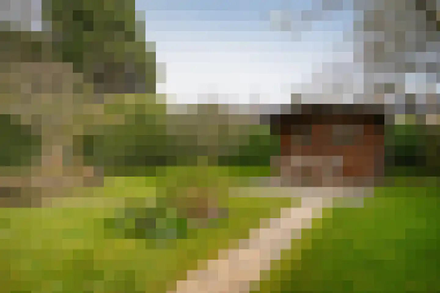 Steenweg 53 Zaltbommel thumbnail 36