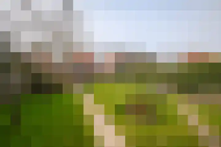 Steenweg 53 Zaltbommel thumbnail 38