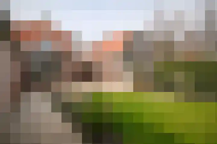 Steenweg 53 Zaltbommel thumbnail 39