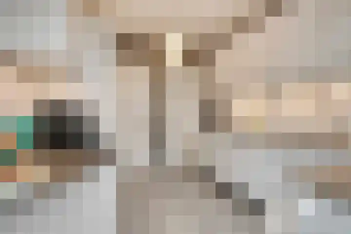 Steenweg 63 Helmond thumbnail 31