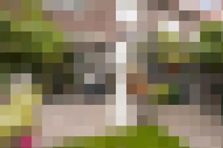 Steenweg 63 Helmond thumbnail 64