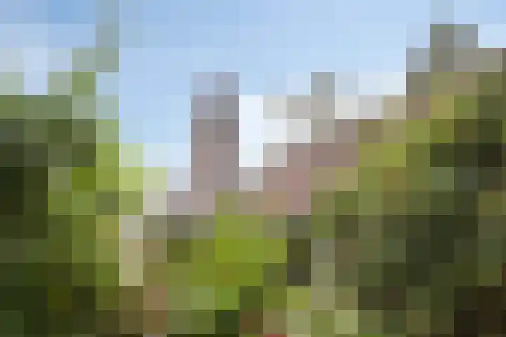 Steenweg 63 Helmond thumbnail 65