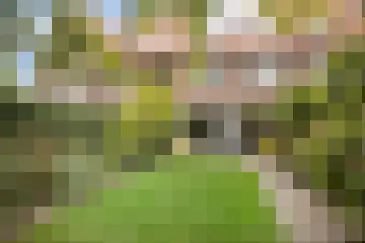 Steenweg 63 Helmond thumbnail 70