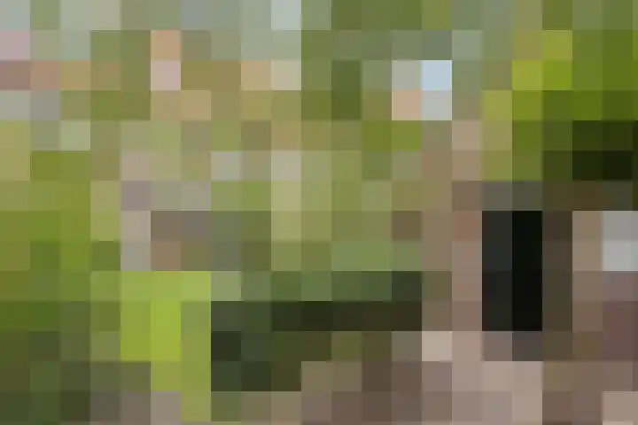 Steenweg 63 Helmond thumbnail 72