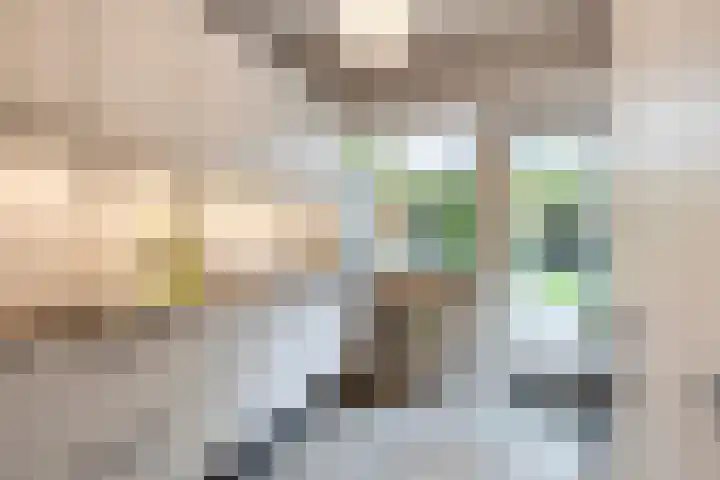 Steenweg 63 Helmond thumbnail 8