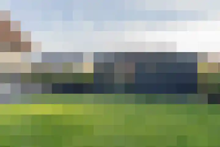Steenweg 7 Burgh-Haamstede thumbnail 52