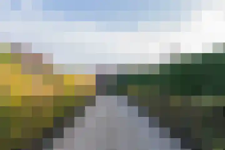 Steenweg 7 Burgh-Haamstede thumbnail 53