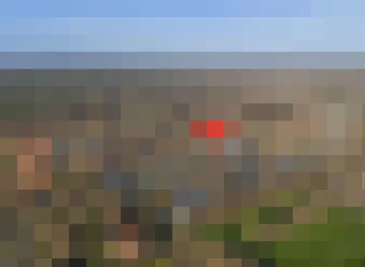 Steenweg 7 Burgh-Haamstede thumbnail 57
