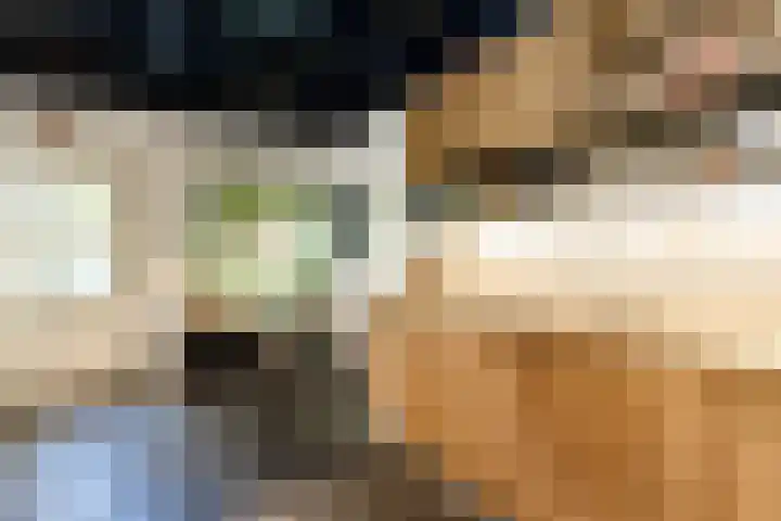 Steenweg 7 Haaften thumbnail 12