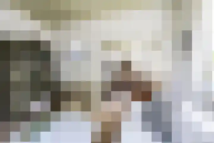 Steenweg 7 Haaften thumbnail 19