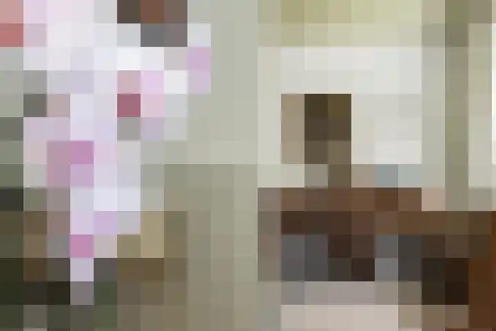 Steenweg 7 Haaften thumbnail 20