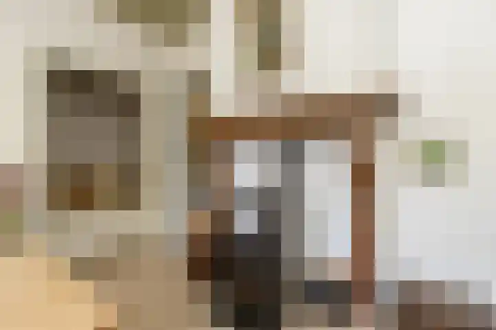 Steenweg 7 Haaften thumbnail 22