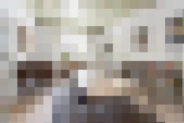 Steenweg 7 Haaften thumbnail 23
