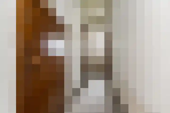 Steenweg 7 Haaften thumbnail 28