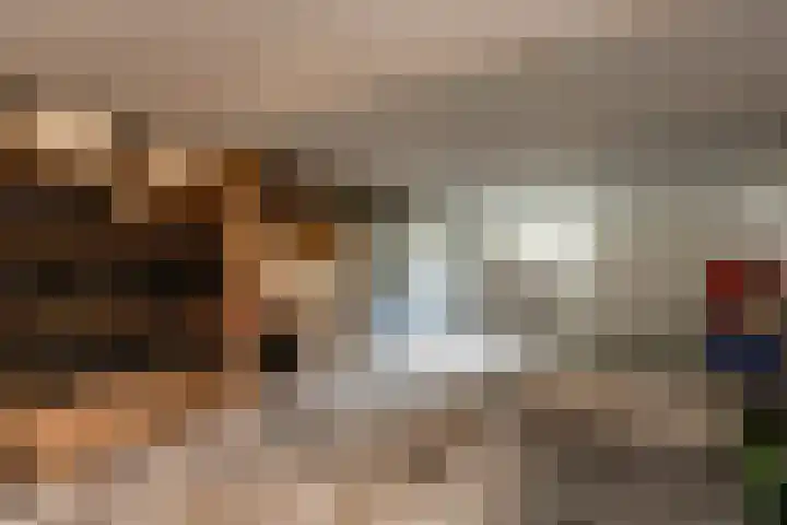 Steenweg 7 Haaften thumbnail 29