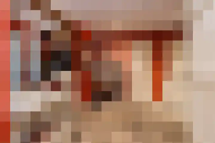 Steenweg 7 Haaften thumbnail 34
