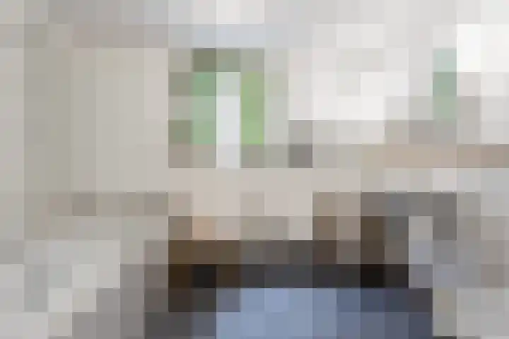 Steenweg 7 Haaften thumbnail 37