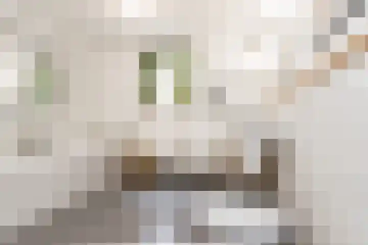 Steenweg 7 Haaften thumbnail 38