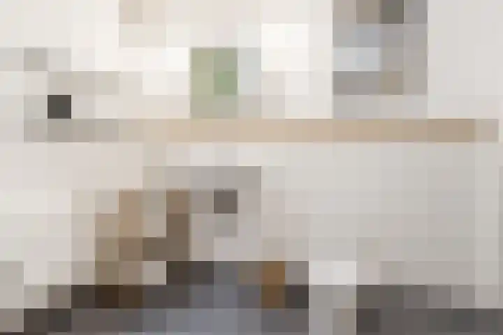 Steenweg 7 Haaften thumbnail 39