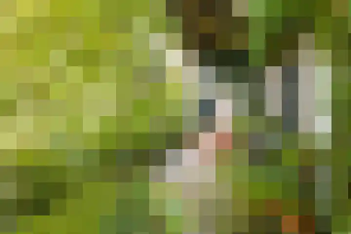 Steenweg 7 Haaften thumbnail 4