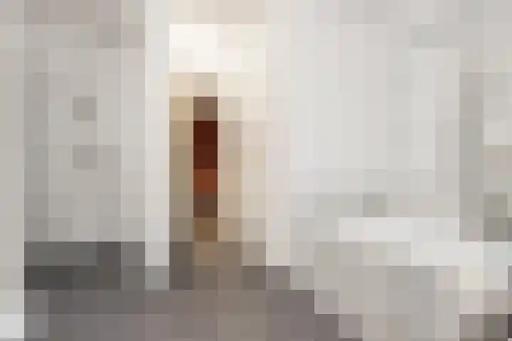 Steenweg 7 Haaften thumbnail 42