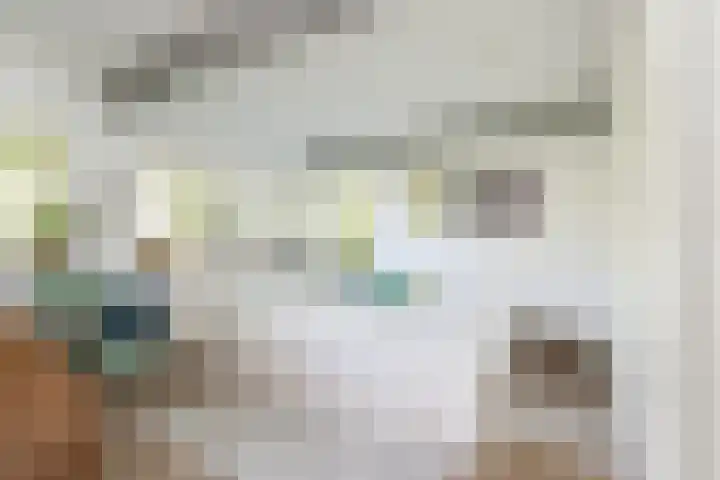 Steenweg 7 Haaften thumbnail 46
