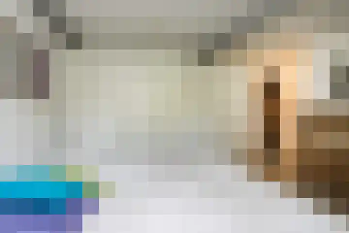 Steenweg 7 Haaften thumbnail 48