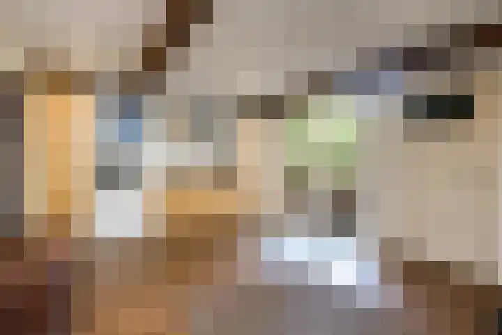 Steenweg 7 Haaften thumbnail 51