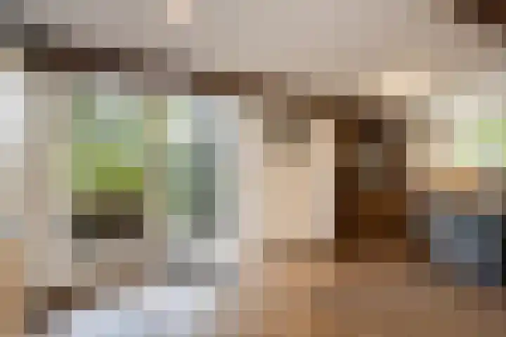 Steenweg 7 Haaften thumbnail 52