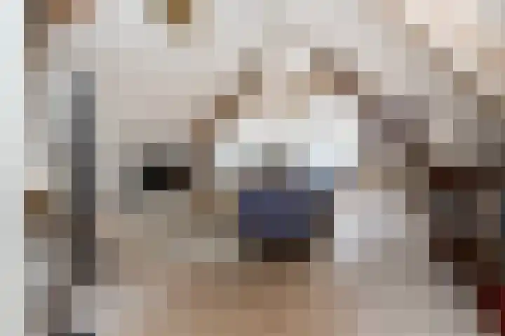 Steenweg 7 Haaften thumbnail 53