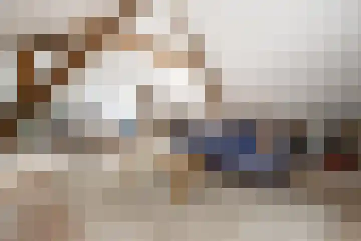 Steenweg 7 Haaften thumbnail 54
