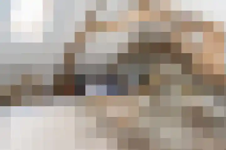 Steenweg 7 Haaften thumbnail 55