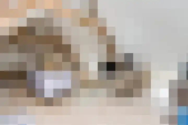 Steenweg 7 Haaften thumbnail 56