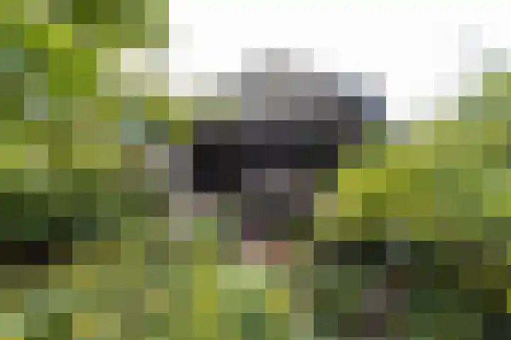 Steenweg 7 Haaften thumbnail 6