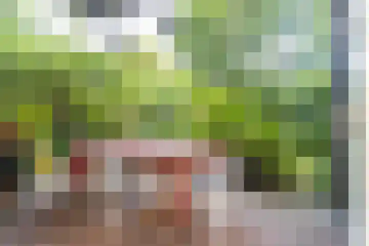 Steenweg 7 Haaften thumbnail 60