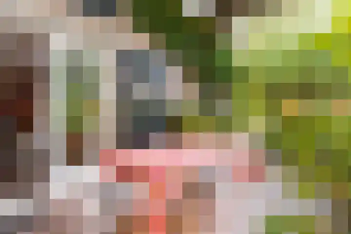 Steenweg 7 Haaften thumbnail 61