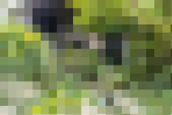Steenweg 7 Haaften thumbnail 62