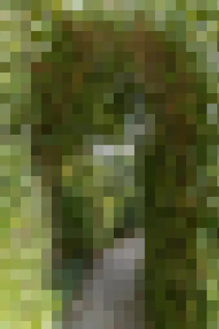 Steenweg 7 Haaften thumbnail 63
