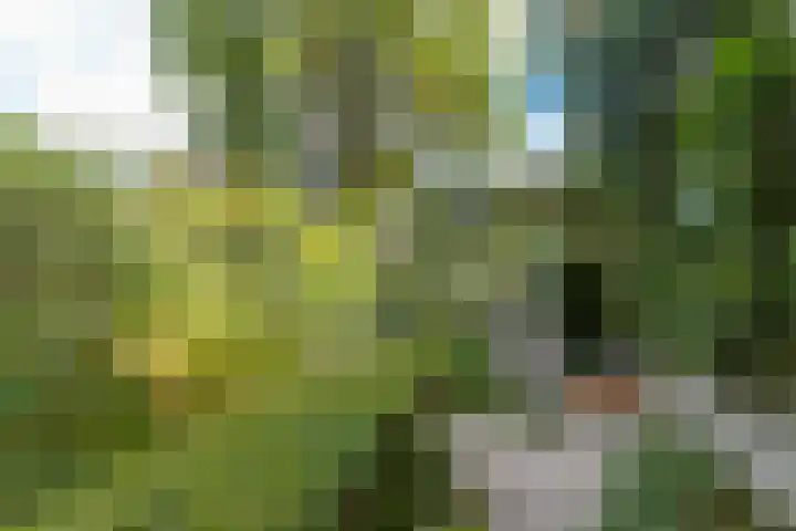 Steenweg 7 Haaften thumbnail 64