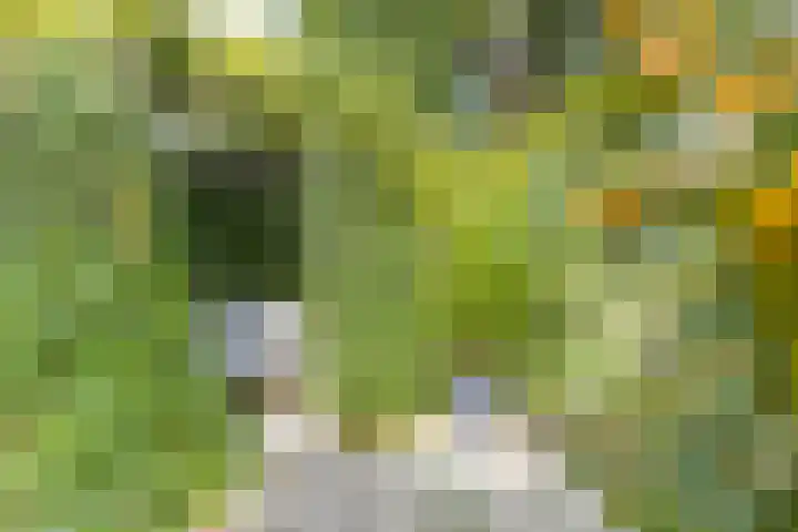 Steenweg 7 Haaften thumbnail 65
