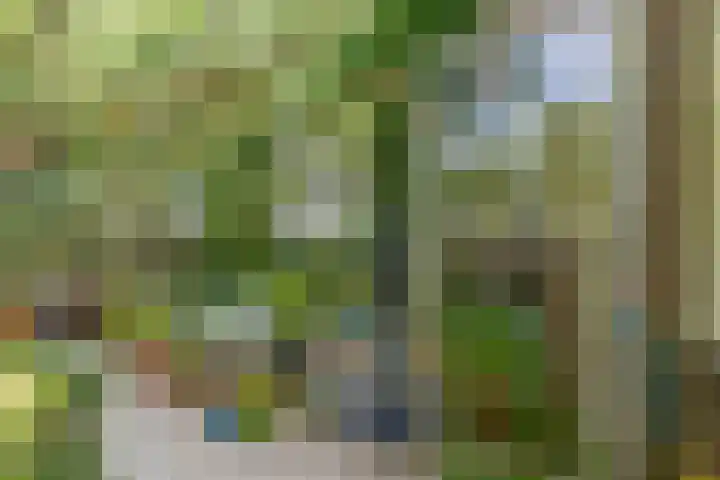 Steenweg 7 Haaften thumbnail 66