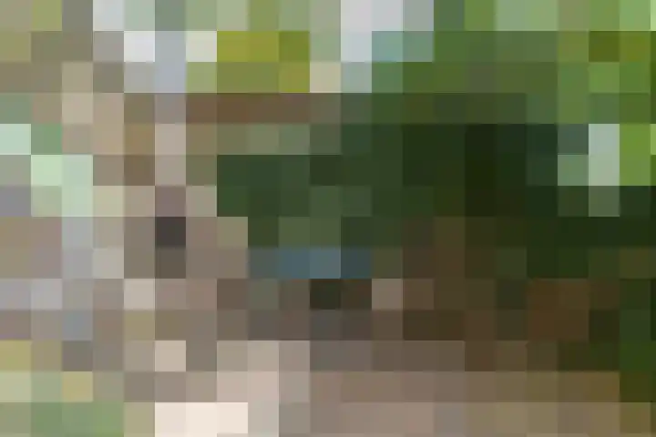Steenweg 7 Haaften thumbnail 67