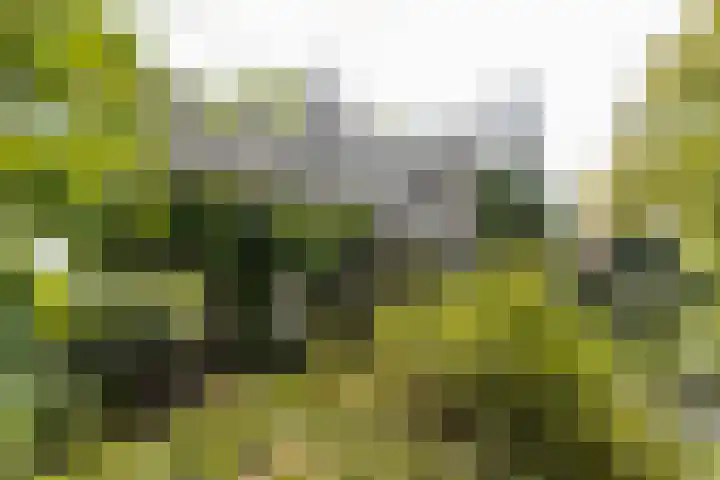 Steenweg 7 Haaften thumbnail 68