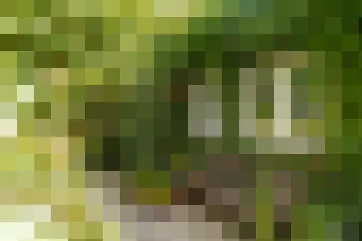Steenweg 7 Haaften thumbnail 69