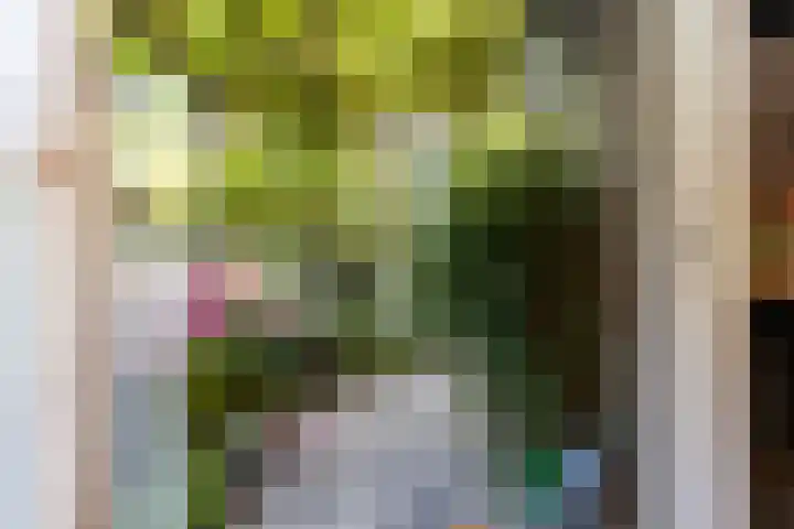 Steenweg 7 Haaften thumbnail 7