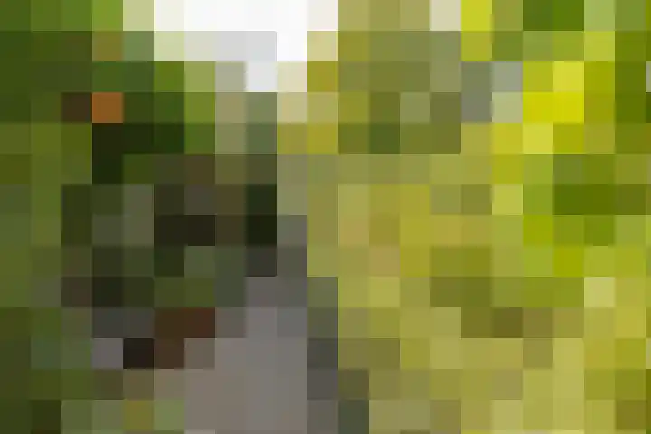 Steenweg 7 Haaften thumbnail 70