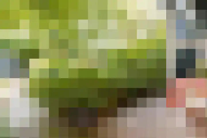 Steenweg 7 Haaften thumbnail 71