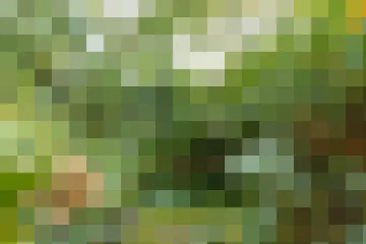 Steenweg 7 Haaften thumbnail 73